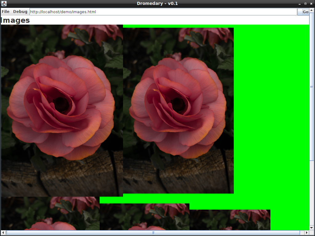 images.png